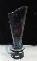 Trophy Crystal 24